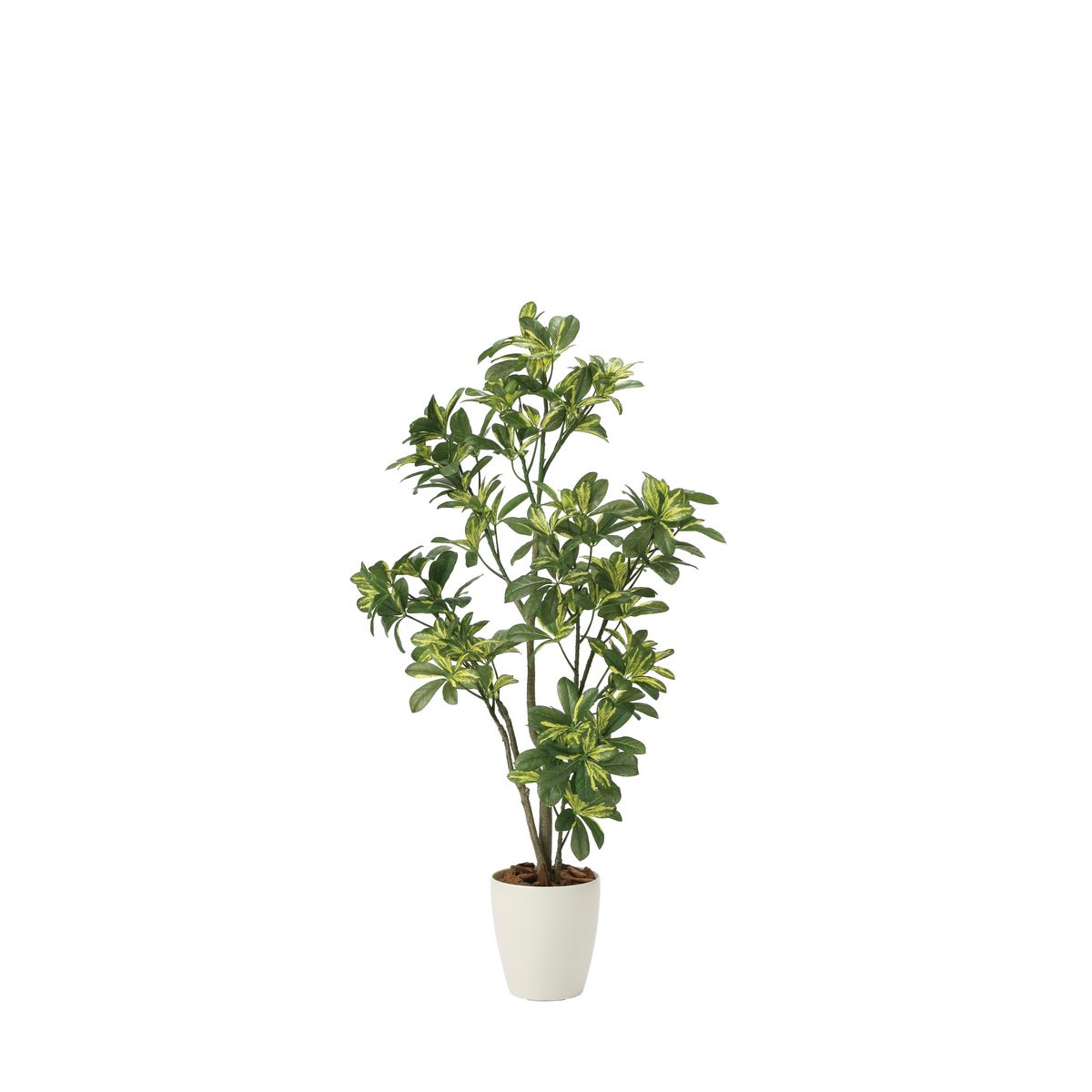 【直送】 【人工観葉植物】光の楽園/光触媒 シェフレラ1.15/2027A180 ※返品・代引・キャンセル不可【10..