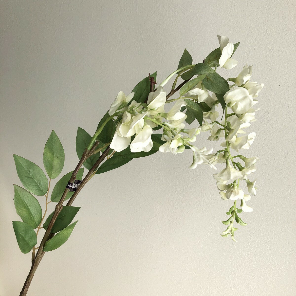 【造花】アスカ/ウィステリア クリ-ムホワイト/A-32841-011【01】 造花（アーティフィシャルフラワー） 造花 花材「は行」 フジ（藤）