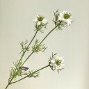 【造花】アスカ/ニゲラ×3 #001 ホワイト/A-33910-1【01】 造花(アーティフィシャルフラワー) 造花 花材「な行」 ニゲラ