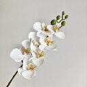 【造花】アスカ/コチョウラン×7 つぼみ×6 #052 ホワイトグリーン/A-33962-52【01】 造花(アーティフィシャルフラワー) 造花 花材「か行」 コチョウラン(胡蝶蘭)