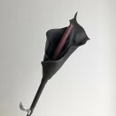 【造花】アスカ/カラーリリィ エッグプラント/A-34082-035E【01】 造花(アーティフィシャルフラワー) 造花 花材「か行」 カラー