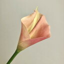 【造花】アスカ/カラーリリィ #004G ピーチグリーン/A-34318-4G【01】 造花(アーティフィシャルフラワー) 造花 花材「か行」 カラー