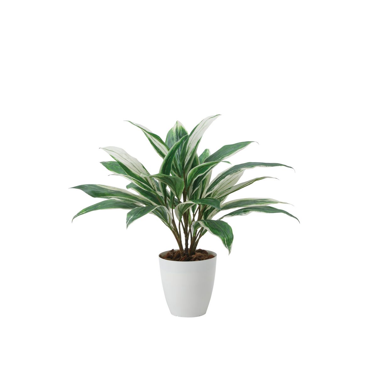 【直送】 【人工観葉植物】光の楽園/光触媒 ドラセナ/2459A50 ※返品・代引・キャンセル不可【10】 造花（アーティフィシャルフラワー） 造花葉物 造花・人工観葉植物 高さ～50cm