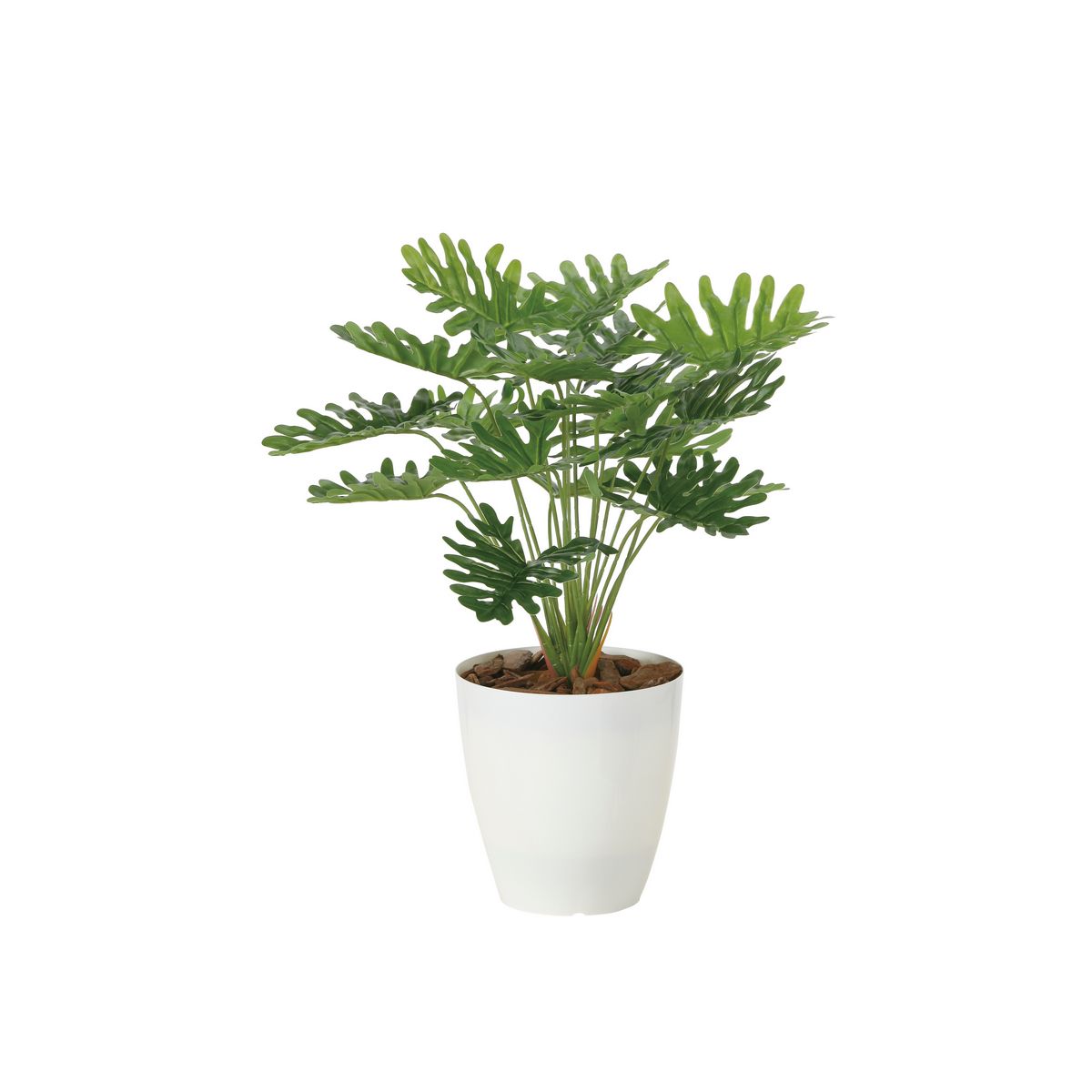 【直送】 【人工観葉植物】光の楽園/光触媒 フレッシュクッカバラ/2216A50 ※返品・代引・キャンセル不..
