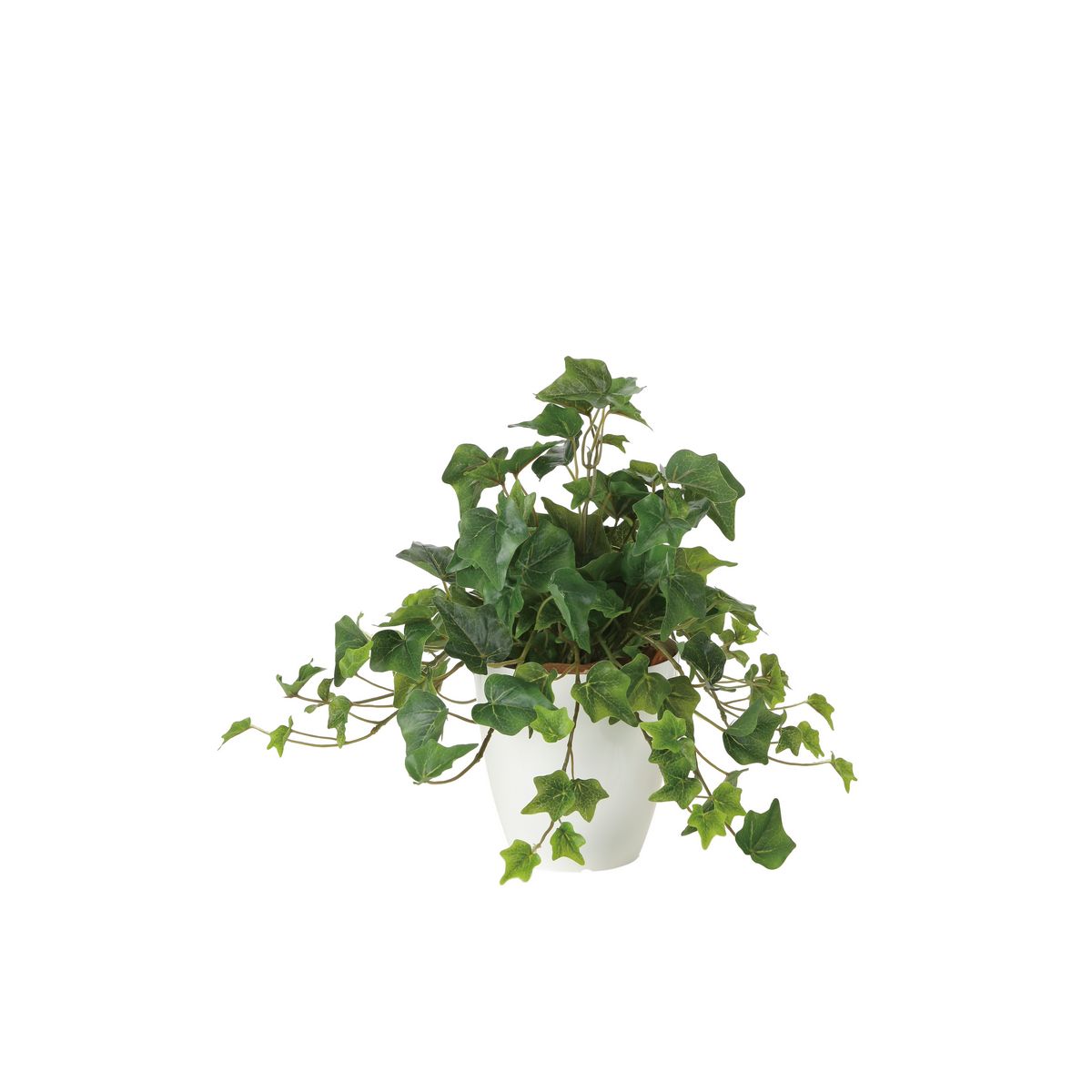 【直送】 【人工観葉植物】光の楽園/光触媒 フレッシュアイビー/2251A50 ※返品・代引・キャンセル不可..
