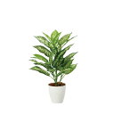 【直送】 【人工観葉植物】光の楽園/光触媒 ディフェンバキアM/2352A65 ※返品・代引・キャンセル不可【10】 造花(アーティフィシャルフラワー) 造花葉物 造花・人工観葉植物 高さ~100cm