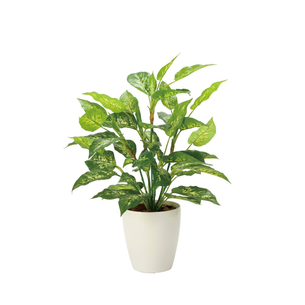 【直送】 【人工観葉植物】光の楽園/光触媒 フレッシュディフェンバキアL/2353A85 ※返品・代引・キャン..