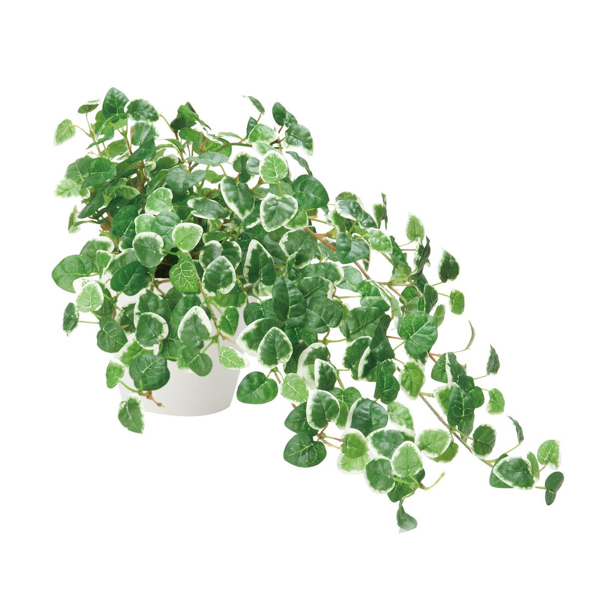 【直送】 【人工観葉植物】光の楽園/光触媒 プミラ/557H70 ※返品・代引・キャンセル不可【10】 造花（..