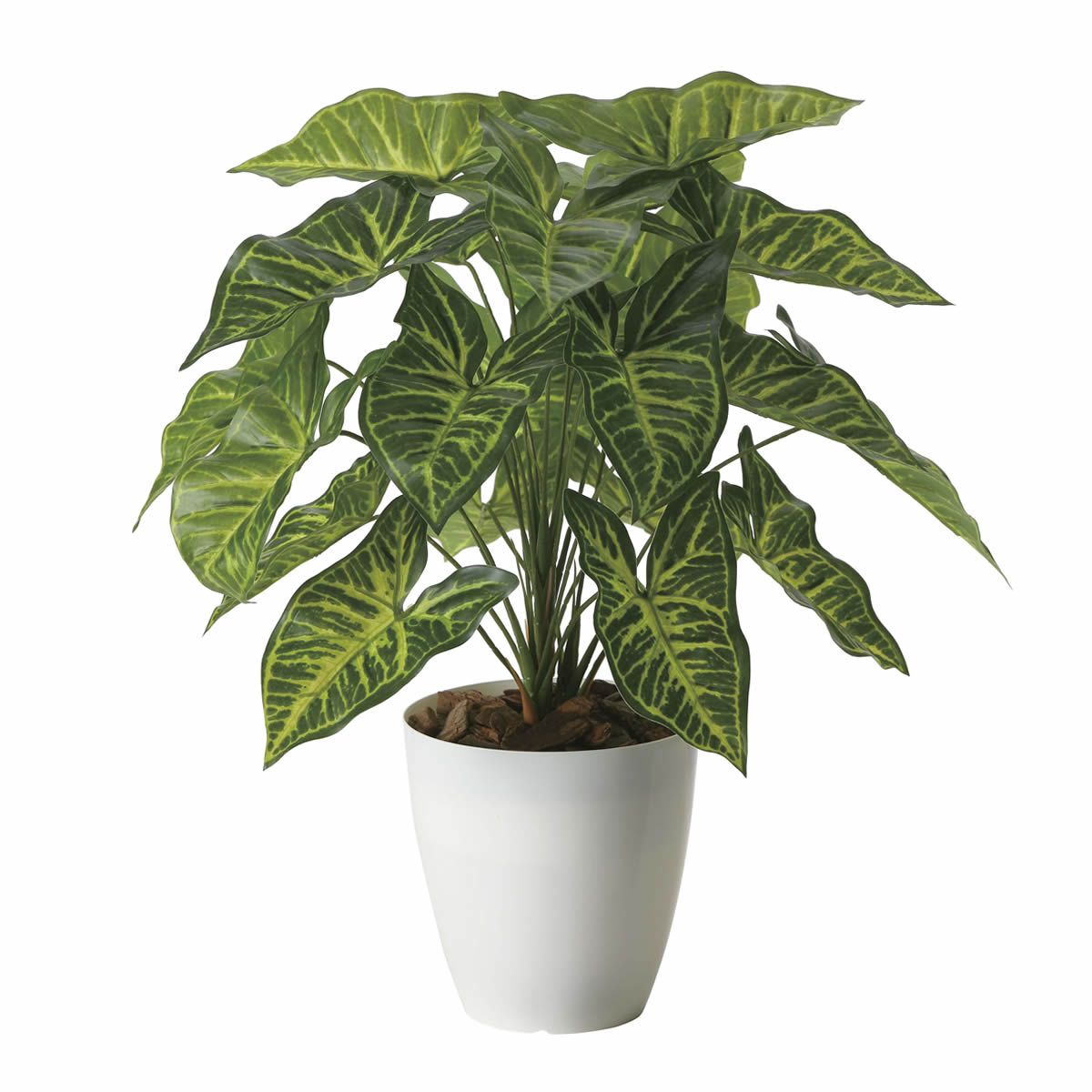 【直送】 【造花】光の楽園/光触媒 フレッシュシンゴニウム/2255A60 ※返品・代引・キャンセル不可【10..