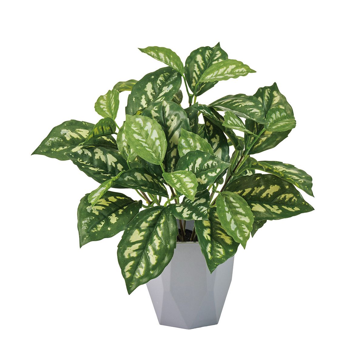 【造花】MAGIQ東京堂/ピレアカディエレイミニポット GREEN グリーン/FZ009198【01】 造花（アーティフ..