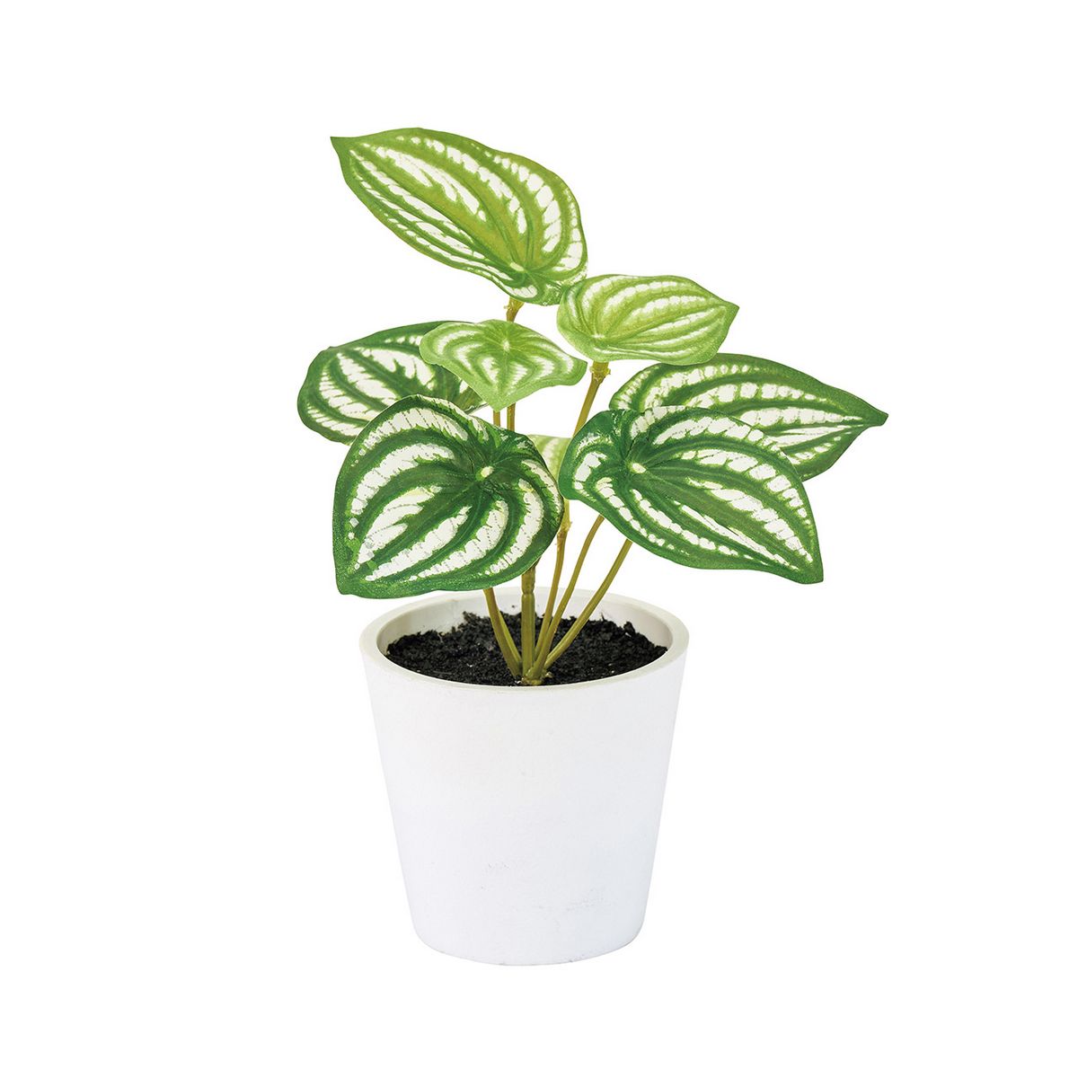 【人工観葉植物】MAGIQ東京堂/ペペロミアプチポット(光触媒)/ZV009199 ※返品キャンセル不可【12】 造花..