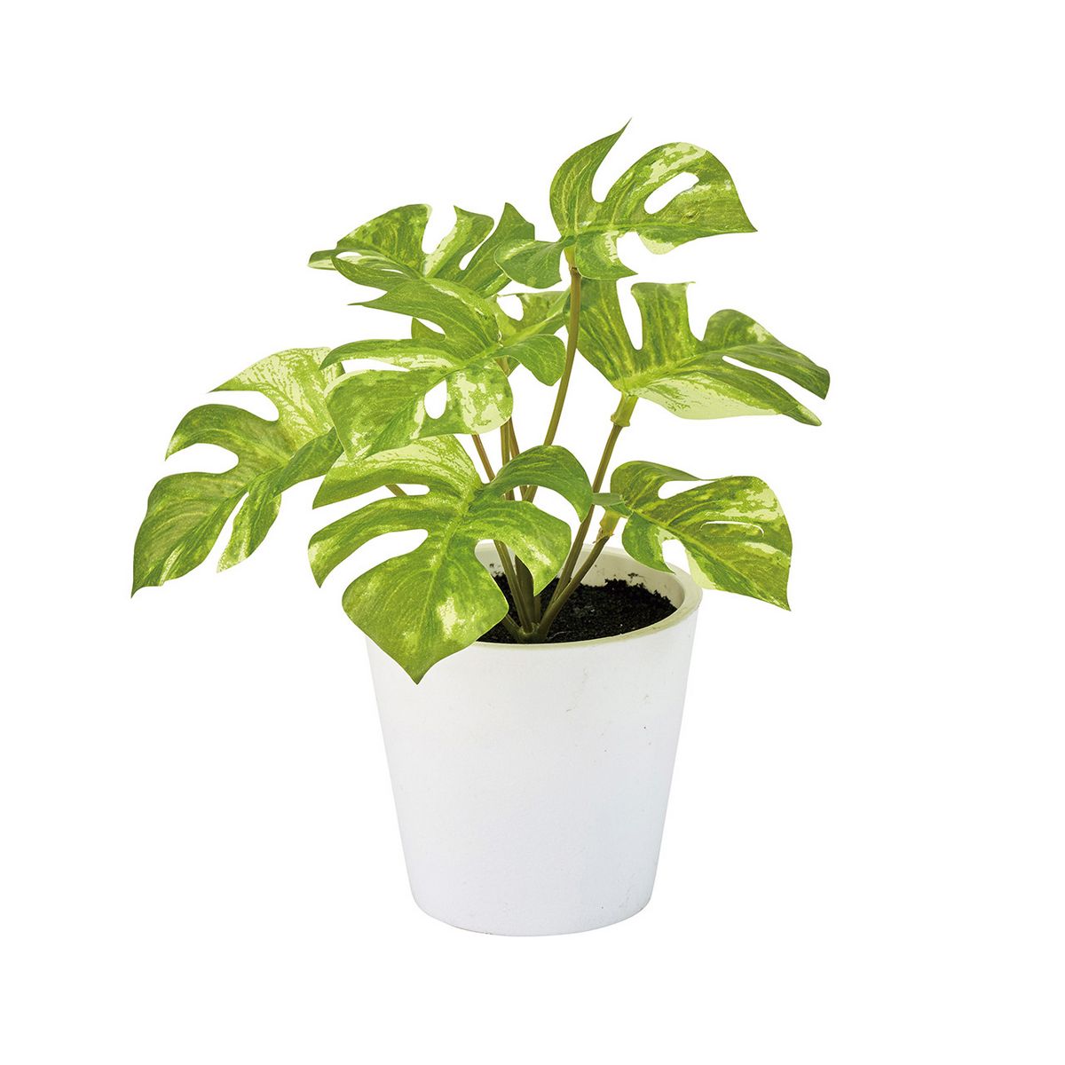 【人工観葉植物】MAGIQ東京堂/スプリットフィロプチポット(光触媒)/ZV009200 ※返品キャンセル不可【12..