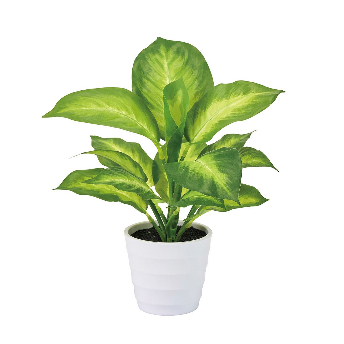 【人工観葉植物】MAGIQ東京堂/ディフェンバキアミニポット(光触媒)/ZV009175 ※返品キャンセル不可【12..