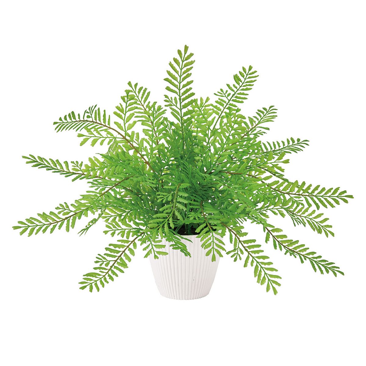 【人工観葉植物】MAGIQ東京堂/シダポット(光触媒)/ZV009202 ※返品キャンセル不可【12】 造花（アーティ..