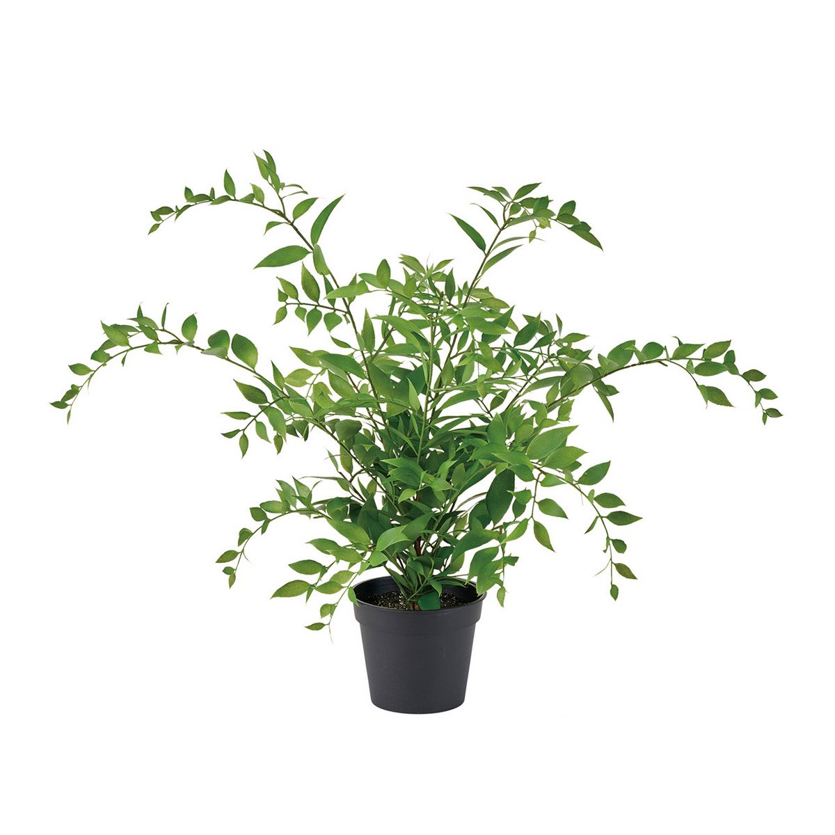 【人工観葉植物】MAGIQ東京堂/イタリアンルスカスポット(光触媒)/ZV000931 ※返品キャンセル不可【12】 ..