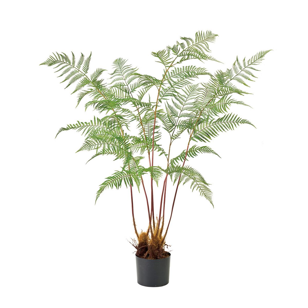 【人工観葉植物】MAGIQ東京堂/ワイルドシダポット(光触媒)/ZV000930 ※返品キャンセル不可【12】 造花（アーティフィシャルフラワー） 造花葉物 造花・人工観葉植物 高さ～150cm