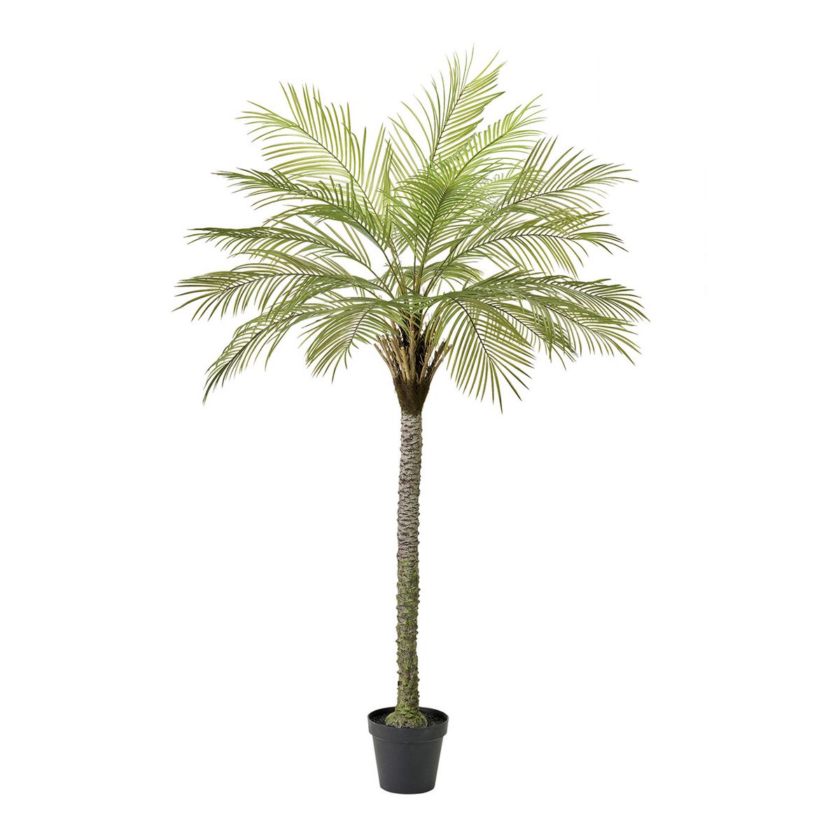 【直送】【人工観葉植物】MAGIQ東京堂/フェニックスジョイントポット(光触媒)/ZV006090 ※返品代引キャ..