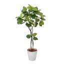 【造花】東京堂/ウンベラータツイスト5F/MG0F5226【01】 造花(アーティフィシャルフラワー) 造花葉物 造花・人工観葉植物 高さ〜200cm