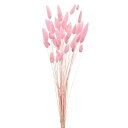 【ドライ】ラグラス 約15g ピンクキャンディー/FD042050-063【01】 ドライフラワー ドライフラワー花材 ラグラス
