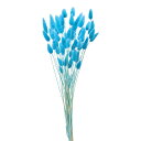 【ドライ】ラグラス 約15g ラムネ/FD042050-035【01】 ドライフラワー ドライフラワー花材 ラグラス