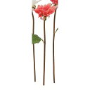 【造花】アスカ/ダリア コーラル/A-35041-13A【01】 造花(アーティフィシャルフラワー) 造花 花材「た行」 ダリア