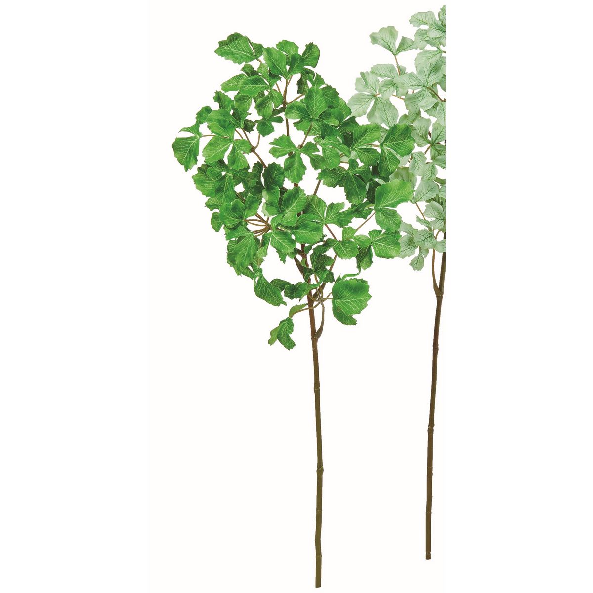 【造花】アスカ/パセリ グリーン/A-44642-51A【01】 造花（アーティフィシャルフラワー） 造花葉物、フ..