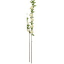 【造花】アスカ/コデマリ×5 クリームホワイト/A-34866-11【01】 造花(アーティフィシャルフラワー) 造花 花材「か行」 コデマリ