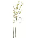 【造花】アスカ/アラリアスプレー×18 ライトグリーン/A-35159-52B【01】 造花(アーティフィシャルフラワー) 造花 花材「あ行」 その他「あ行」造花花材
