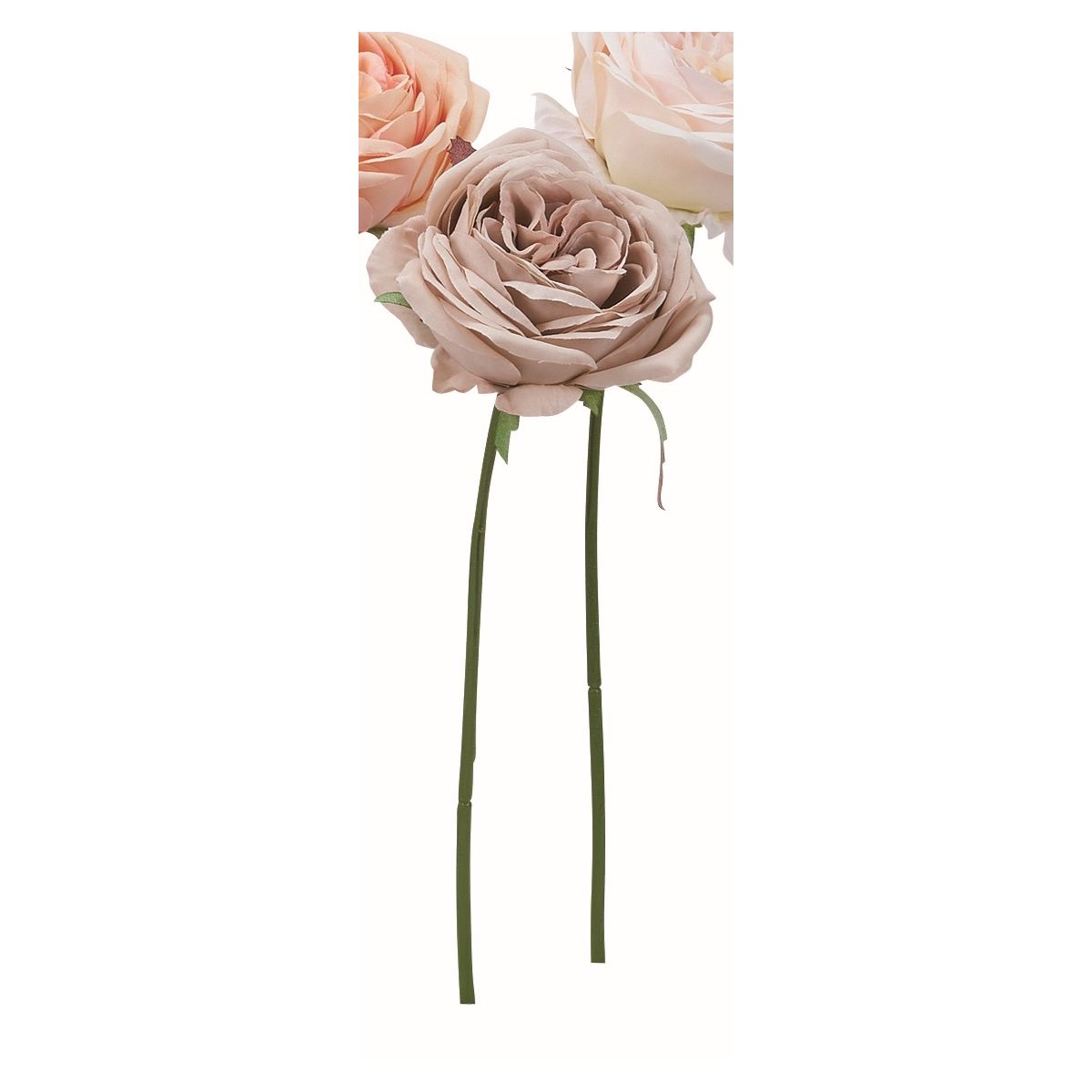 【造花】アスカ/ローズ ソフトベージュ/A-33064-8A【01】 造花（アーティフィシャルフラワー） 造花 花材「は行」 バラ