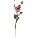 【造花】アスカ/ラナンキュラス×1 つぼみ×1 ビューティクリーム/A-35183-22C【01】 造花(アーティフィシャルフラワー) 造花 花材「ら行」 ラナンキュラス