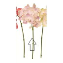 【造花】アスカ/ミディコチョウラン×7 つぼみ×2 ライトライラック/A-35060-17B【01】 造花(アーティフィシャルフラワー) 造花 花材「か行」 コ...