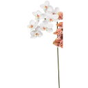 【造花】アスカ/コチョウラン×7 ホワイトピンク/A-35169-1P【01】 造花(アーティフィシャルフラワー) 造花 花材「か行」 コチョウラン(胡蝶蘭)