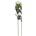 【造花】アスカ/マム(L) ホワイト/A-35246-1【01】 造花(アーティフィシャルフラワー) 造花 花材「か行」 キク(菊)・ピンポンマム