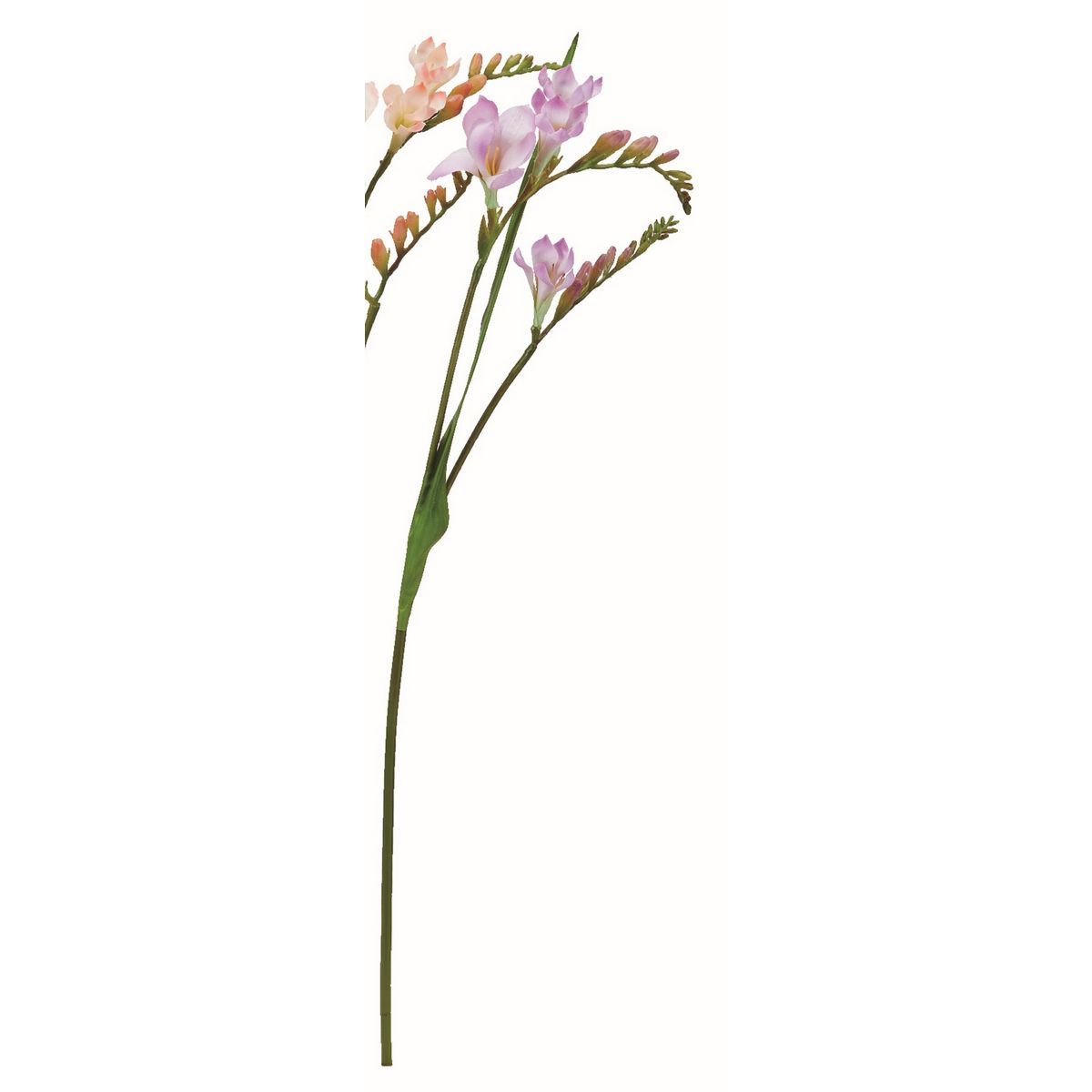 【造花】アスカ/フリージア ライラック/A-35101-17【01】 造花（アーティフィシャルフラワー） 造花 花材「は行」 フリージア