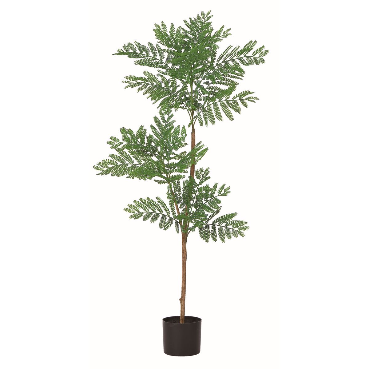 【直送】【人工観葉植物】アスカ/エバーフレッシュ（ポット付） グリーン/A-51133-51A ※返品・代引・キ..