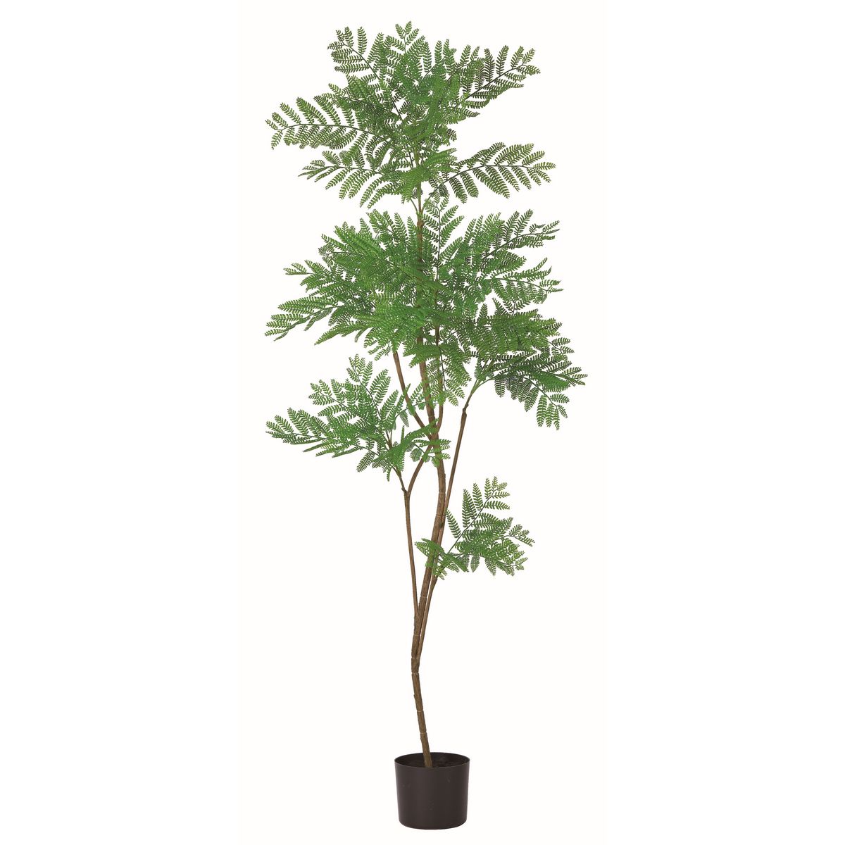 【直送】 【人工観葉植物】アスカ/エバーフレッシュ（ポット付） グリーン/A-51134-51A ※返品・代引・..