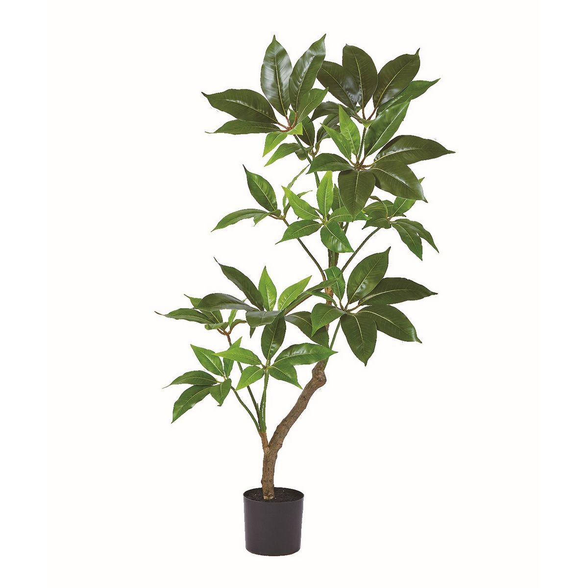 【人工観葉植物】アスカ/ツピタンサス（ポット付） グリーン/A-51127-51A【01】 造花（アーティフィシ..