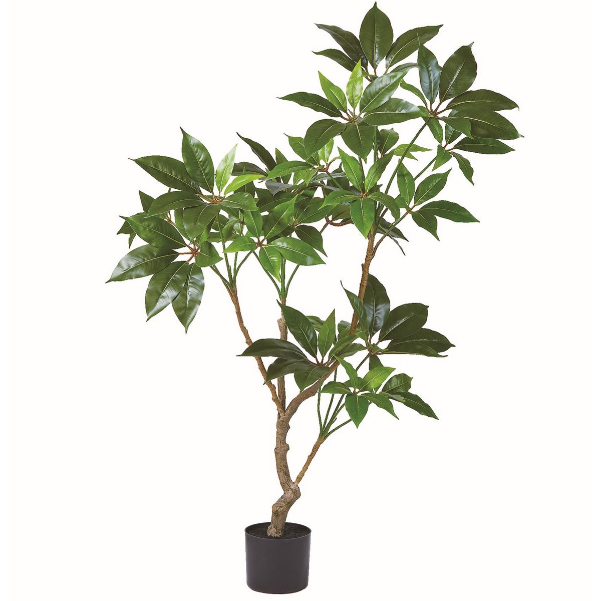 【人工観葉植物】アスカ/ツピタンサス（ポット付） グリーン/A-51128-51A【01】 造花（アーティフィシ..