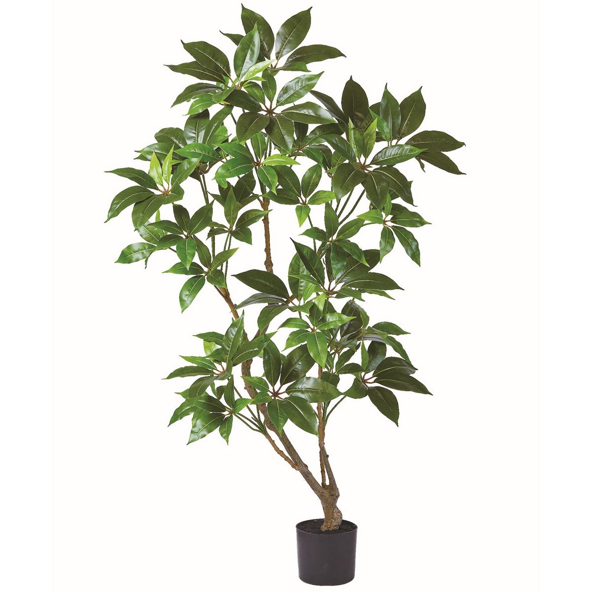 【直送】【人工観葉植物】アスカ/ツピタンサス（ポット付） グリーン/A-51129-51A ※返品・代引・キャン..