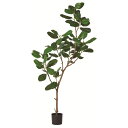 【人工観葉植物】アスカ/ゴムの木(ポット付) グリーン/A-51124-51A【01】 造花(アーティフィシャルフラワー) 造花葉物 造花・人工観葉植物 高さ2...