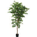 【直送】 【人工観葉植物】YDM/210cmベンジャミン グリーン/GLP-1581-GR ※返品・代引・キャンセル不可【07】 造花(アーティフィシャルフラワ...
