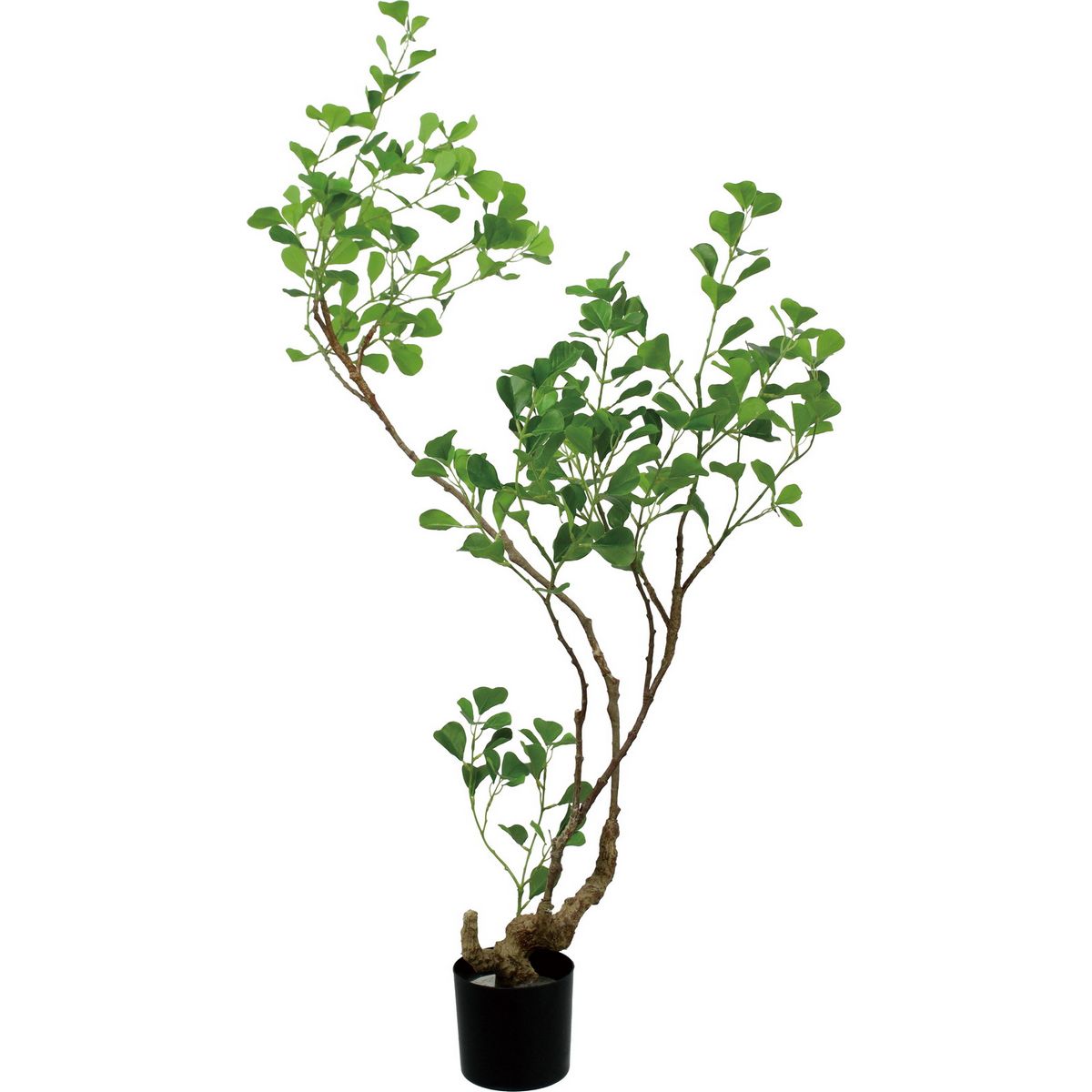 【人工観葉植物】YDM/125cmフィカストライアンギュラス グリーン/GLP-1578-GR【01】 造花（アーティフ..