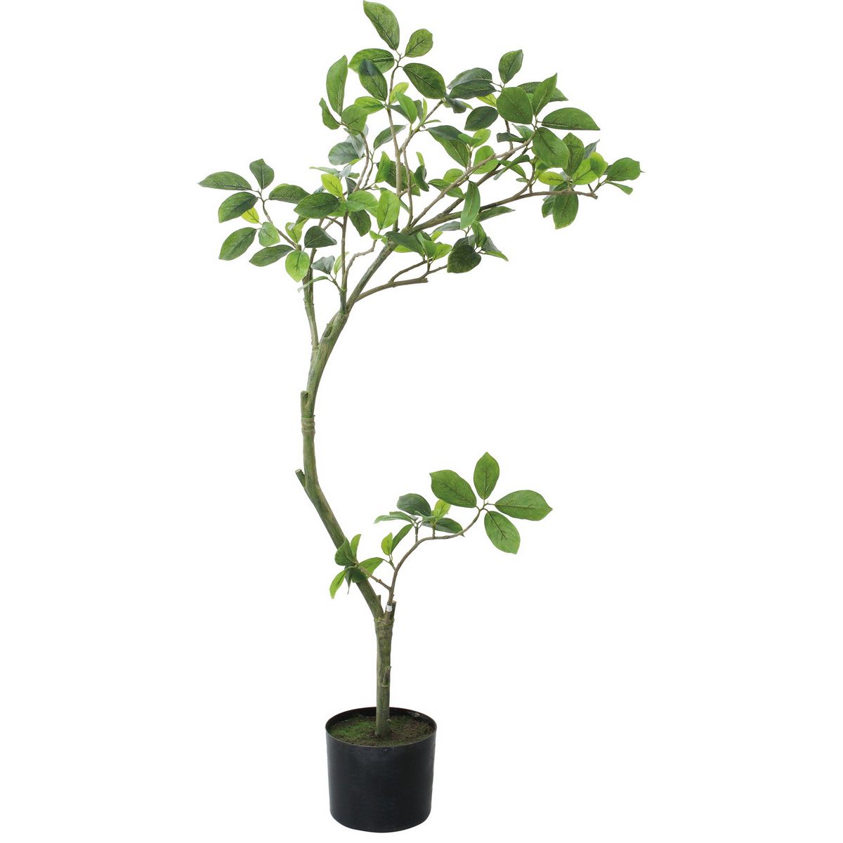 【人工観葉植物】YDM/110cmガジュマル グリーン/GLP-1574-GR【01】 造花（アーティフィシャルフラワー..