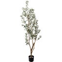 【直送】【人工観葉植物】YDM/180cmオリーブ グリーン/GLP-1561-GR ※返品・代引・キャンセル不可【07】 造花(アーティフィシャルフラワー) ...