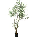 【人工観葉植物】YDM/170cmオリーブ グリーン/GLP-1560-GR【07】 造花(アーティフィシャルフラワー) 造花葉物 造花・人工観葉植物 高さ〜2...