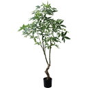 【直送】【人工観葉植物】YDM/180cmパキラ グリーン/GLP-1566-GR ※返品・代引・キャンセル不可【07】 造花(アーティフィシャルフラワー) 造...