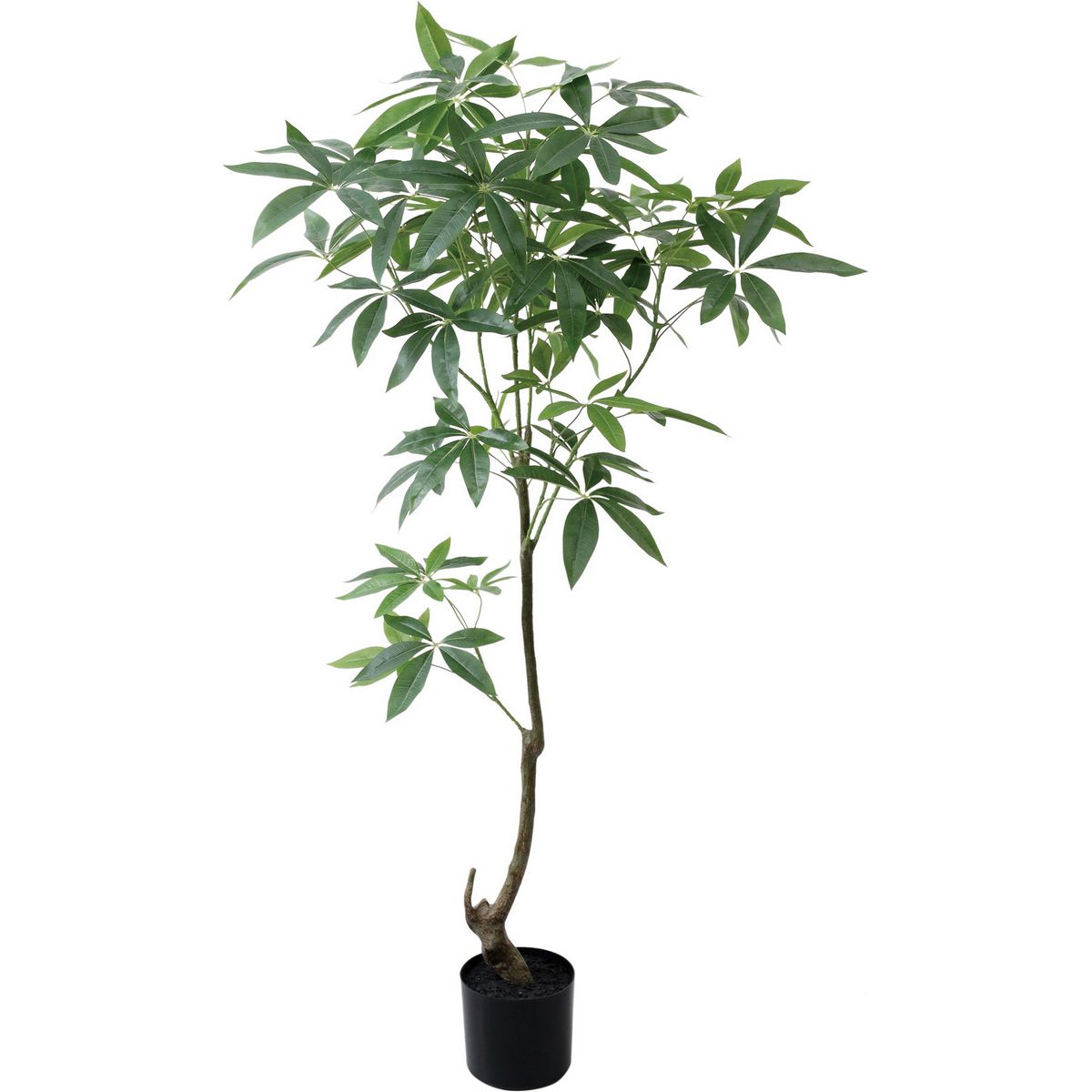 【人工観葉植物】YDM/150cmパキラ グリーン/GLP-1565-GR【01】 造花（アーティフィシャルフラワー） 造..