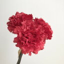 【造花】アスカ/カーネーションバンチ(1束3本) #002 レッド/A-33160-2【01】 造花(アーティフィシャルフラワー) 造花 花材「か行」 カーネー...