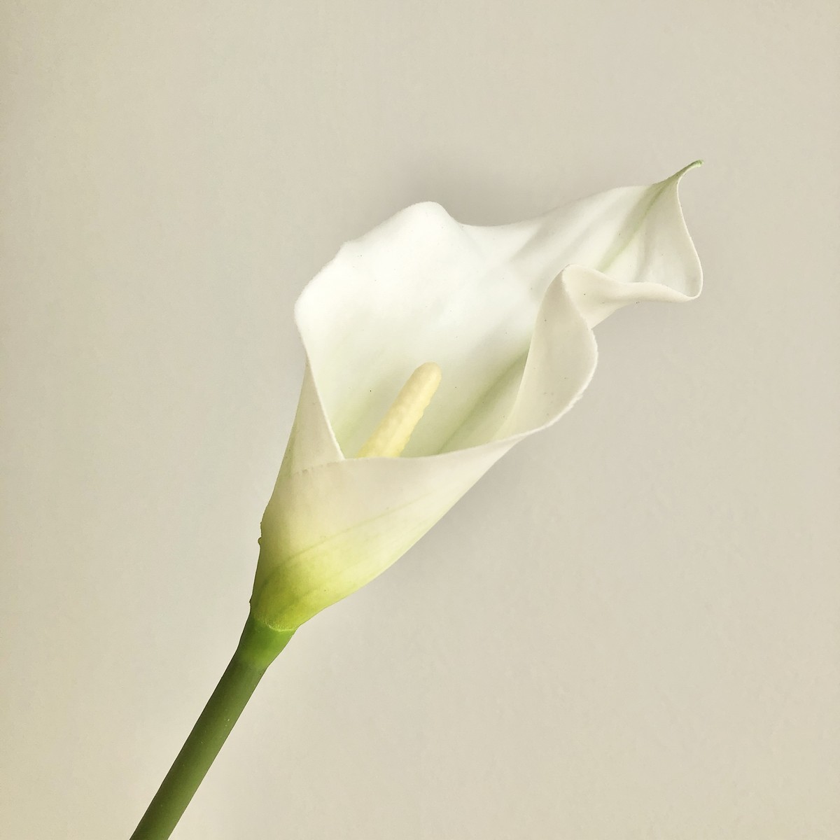 【造花】アスカ/カラーリリィ ホワイト/A-34080-001【01】 造花（アーティフィシャルフラワー） 造花 花材「か行」 カラー