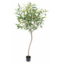 【直送】 【人工観葉植物】ビバ工芸/ショウナンゴム180cm/VGZ-0030 ※返品・代引・キャンセル不可【01】 造花(アーティフィシャルフラワー) 造花葉...